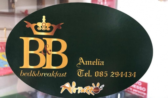 B&B Amelia