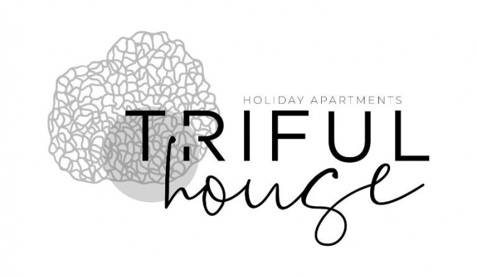 trifulhouse holiday apartments