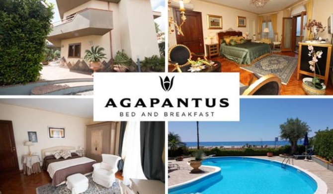 Agapantus Bed & Breakfast