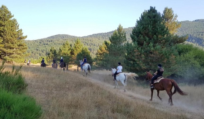 Baita tra i pini a Camigliatello