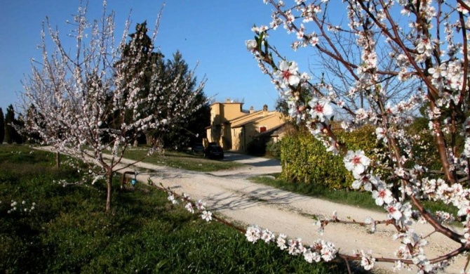 Agriturismo Le magnolie